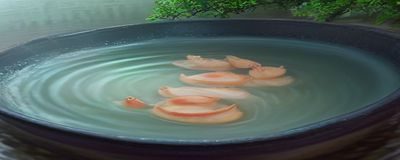 一组完成的绳艺挂饰作品并排悬挂在白墙上，包括波西米亚风流苏壁挂和几何图案挂饰，风格清新自然，背景干净整洁
